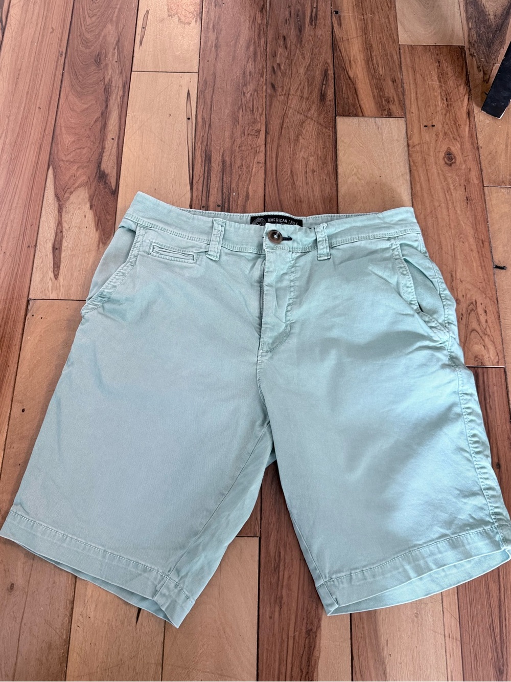 American Eagle Outfitters Light Mint Flat Front Chino Shorts